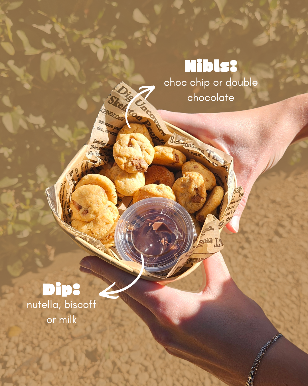 Nibls & Dip