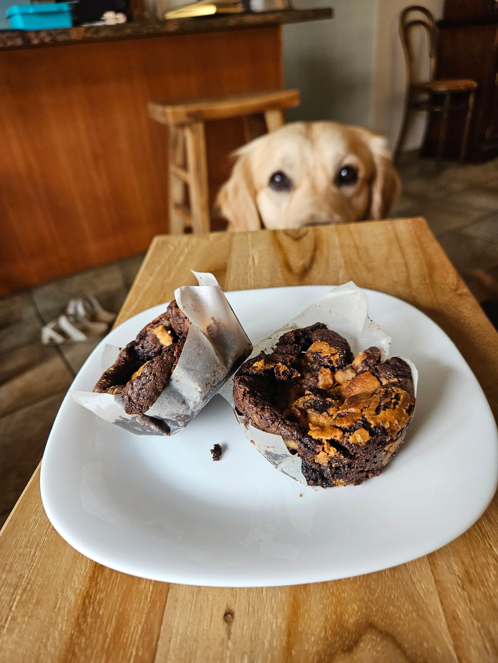 Brookie Cookie