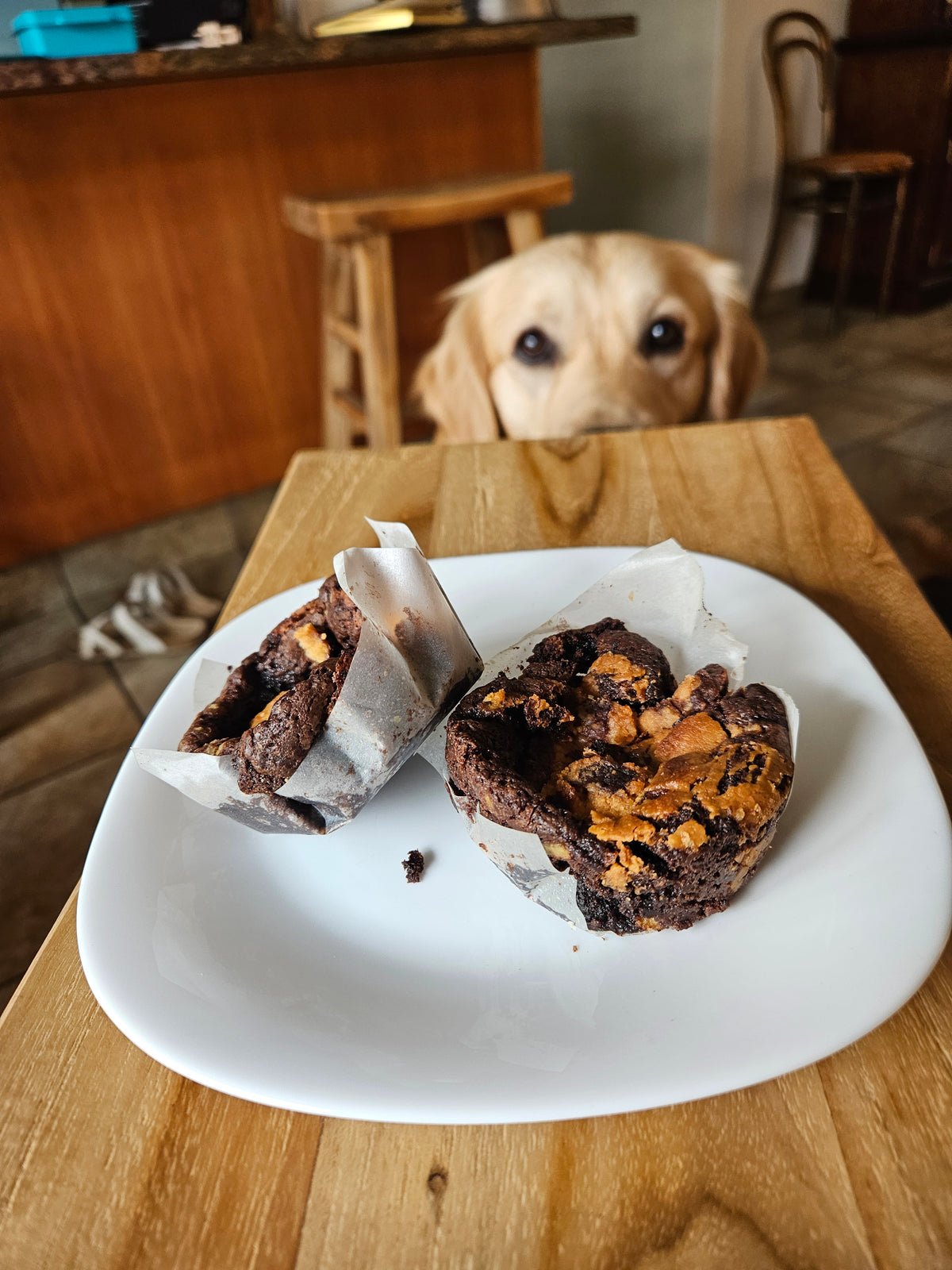 Brookie Cookie